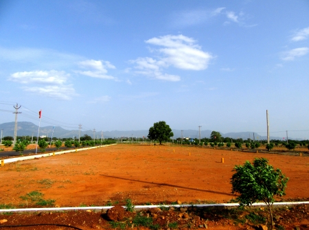 4) Li Id : 150 - Pic : 5.JPG